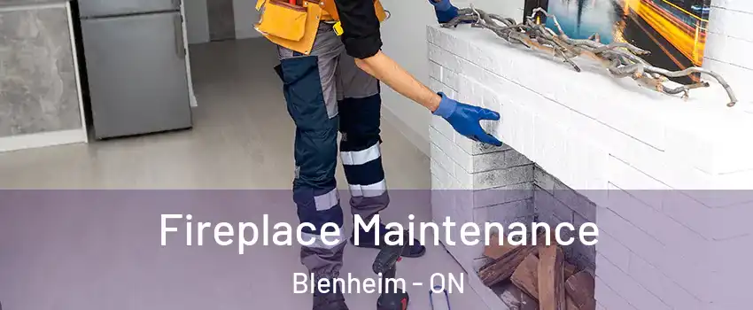  Fireplace Maintenance Blenheim - ON