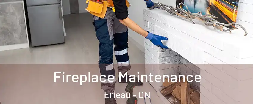  Fireplace Maintenance Erieau - ON