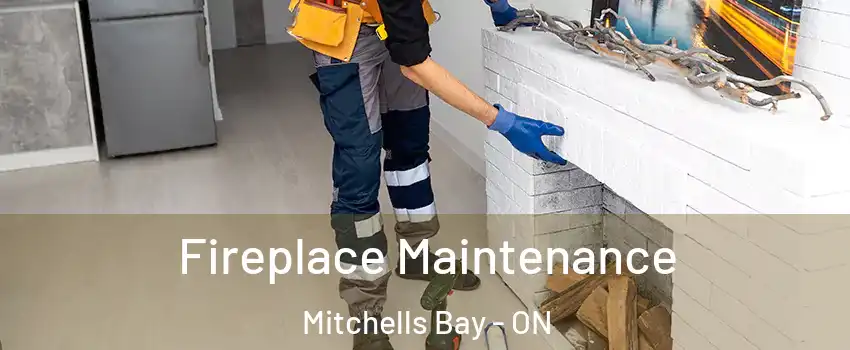  Fireplace Maintenance Mitchells Bay - ON