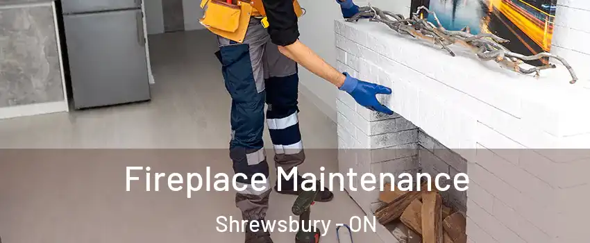  Fireplace Maintenance Shrewsbury - ON