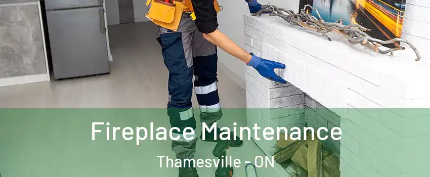  Fireplace Maintenance Thamesville - ON