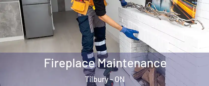  Fireplace Maintenance Tilbury - ON