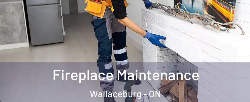  Fireplace Maintenance Wallaceburg - ON