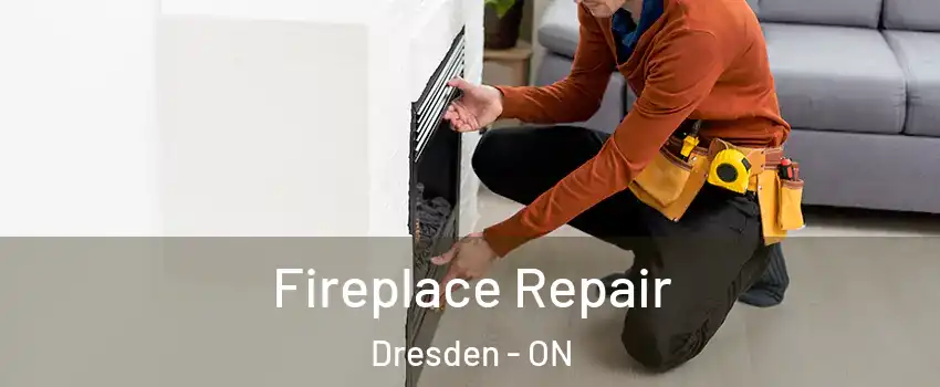  Fireplace Repair Dresden - ON