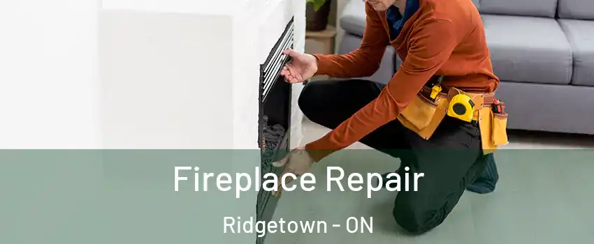  Fireplace Repair Ridgetown - ON