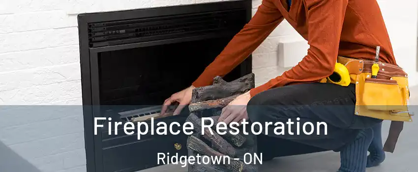  Fireplace Restoration Ridgetown - ON