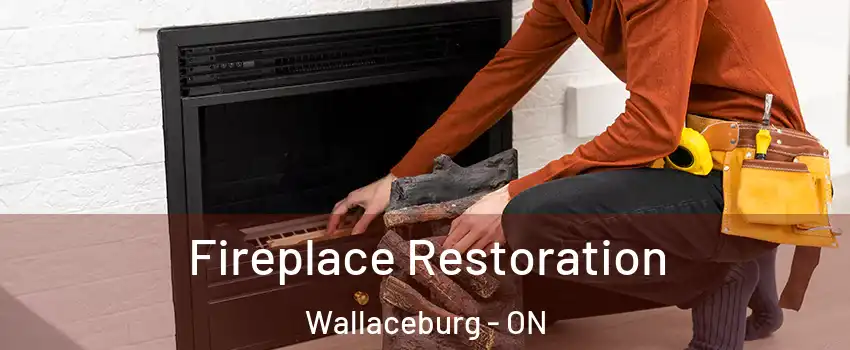 Fireplace Restoration Wallaceburg - ON