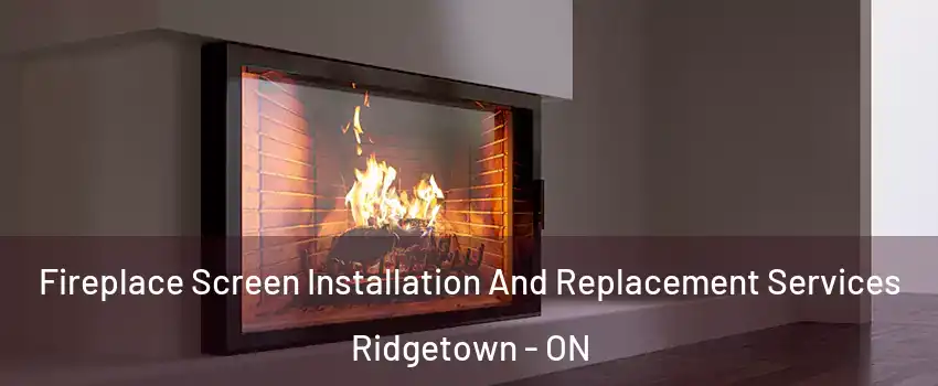 Fireplace Screen Installation And Replacement Services Ridgetown - ON