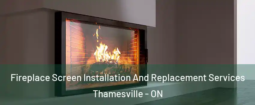 Fireplace Screen Installation And Replacement Services Thamesville - ON