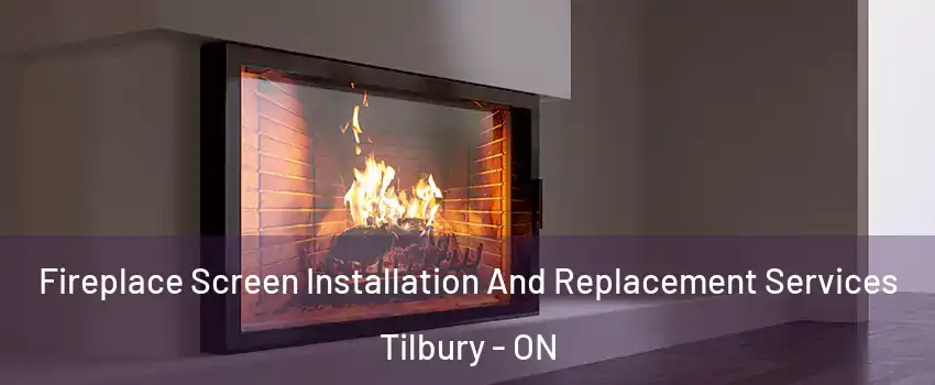 Fireplace Screen Installation And Replacement Services Tilbury - ON