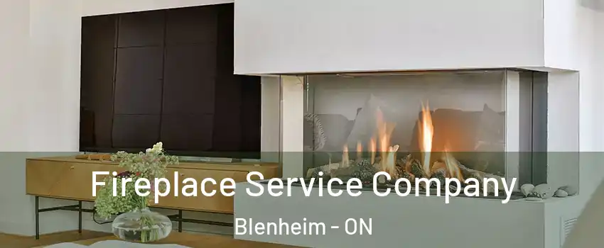 Fireplace Service Company Blenheim - ON
