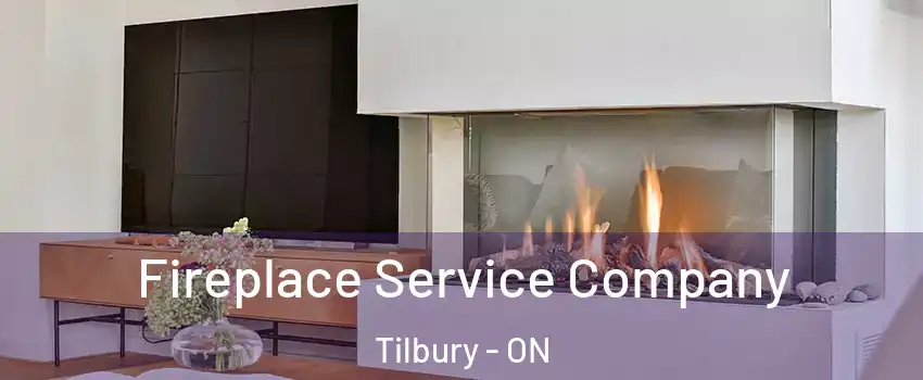  Fireplace Service Company Tilbury - ON