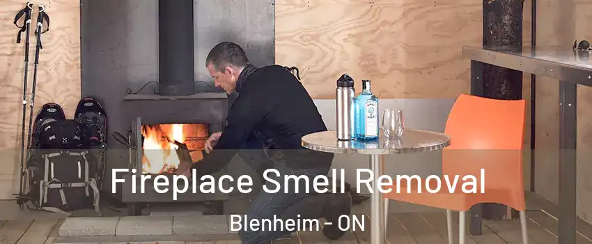  Fireplace Smell Removal Blenheim - ON