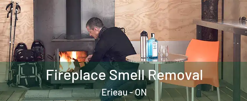  Fireplace Smell Removal Erieau - ON