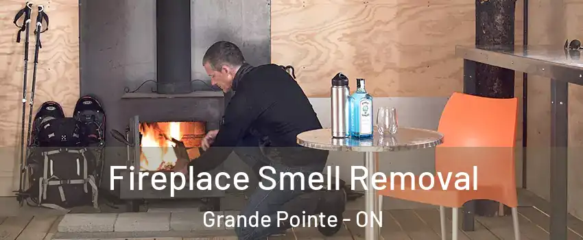 Fireplace Smell Removal Grande Pointe - ON