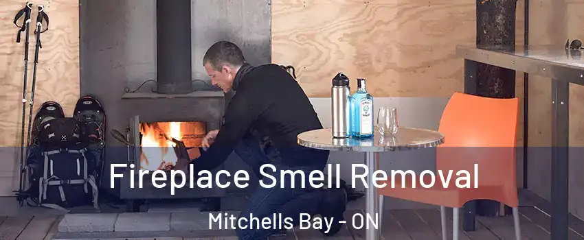  Fireplace Smell Removal Mitchells Bay - ON