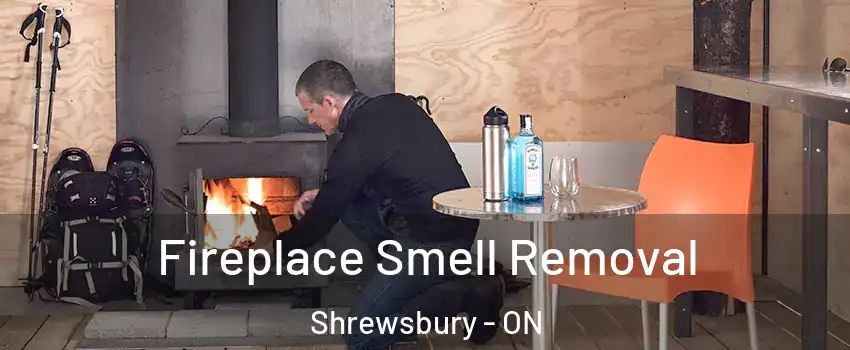  Fireplace Smell Removal Shrewsbury - ON