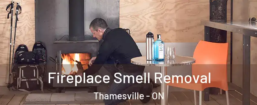  Fireplace Smell Removal Thamesville - ON