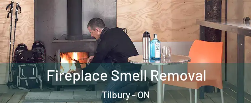  Fireplace Smell Removal Tilbury - ON
