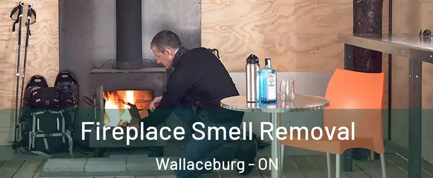  Fireplace Smell Removal Wallaceburg - ON
