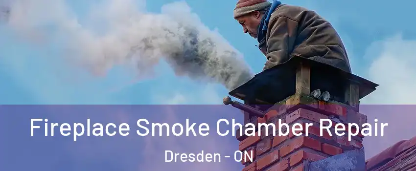  Fireplace Smoke Chamber Repair Dresden - ON