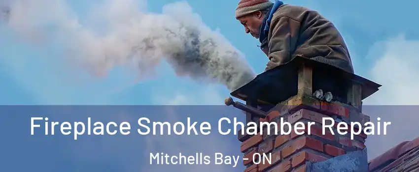  Fireplace Smoke Chamber Repair Mitchells Bay - ON