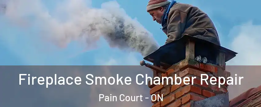  Fireplace Smoke Chamber Repair Pain Court - ON