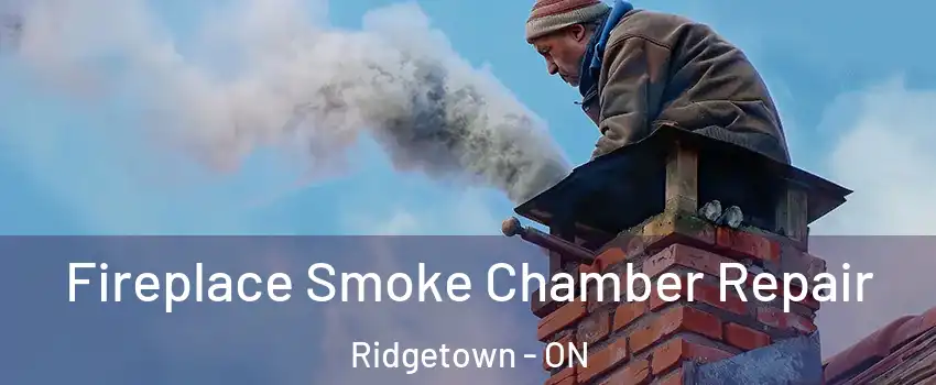  Fireplace Smoke Chamber Repair Ridgetown - ON