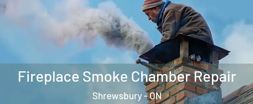 Fireplace Smoke Chamber Repair Shrewsbury - ON