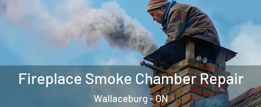  Fireplace Smoke Chamber Repair Wallaceburg - ON