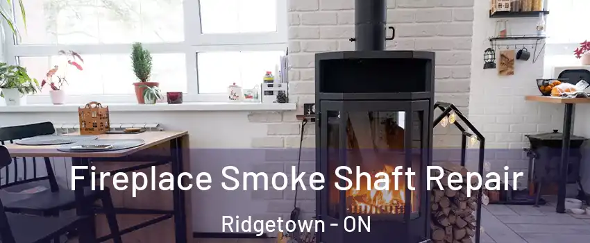  Fireplace Smoke Shaft Repair Ridgetown - ON