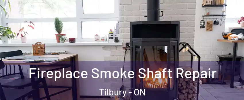  Fireplace Smoke Shaft Repair Tilbury - ON