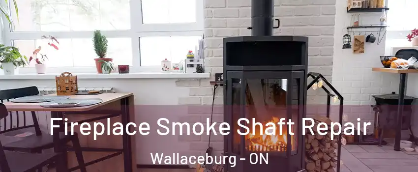  Fireplace Smoke Shaft Repair Wallaceburg - ON