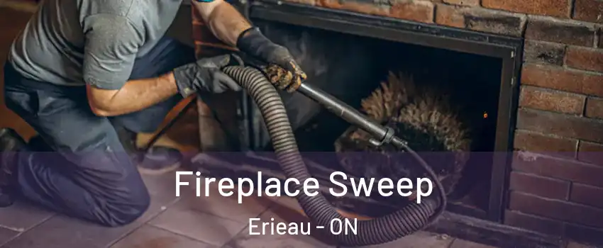  Fireplace Sweep Erieau - ON
