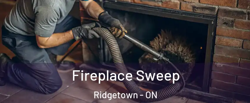 Fireplace Sweep Ridgetown - ON