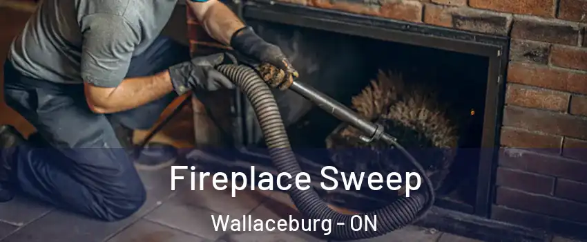  Fireplace Sweep Wallaceburg - ON