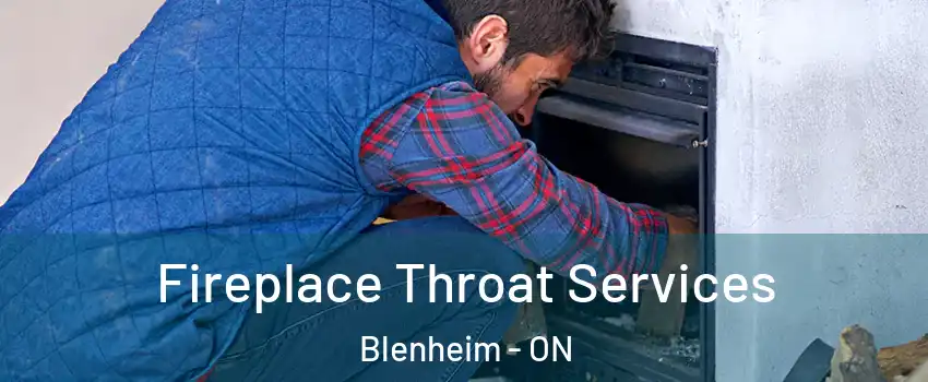  Fireplace Throat Services Blenheim - ON