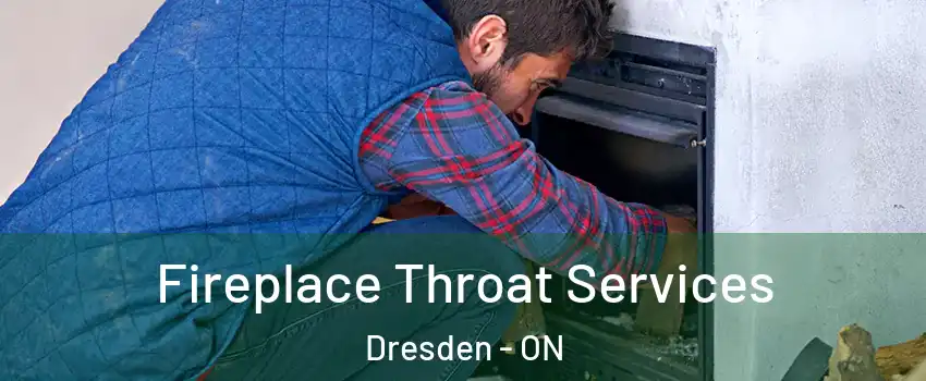  Fireplace Throat Services Dresden - ON