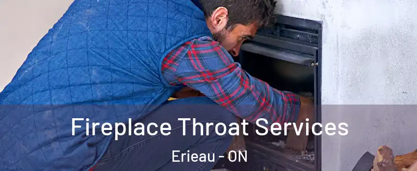  Fireplace Throat Services Erieau - ON
