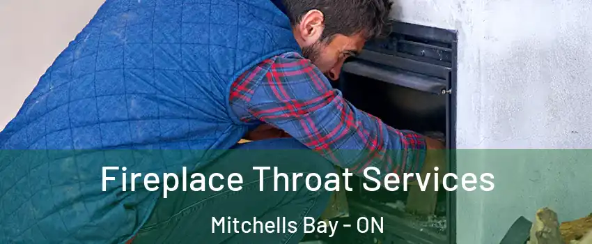  Fireplace Throat Services Mitchells Bay - ON