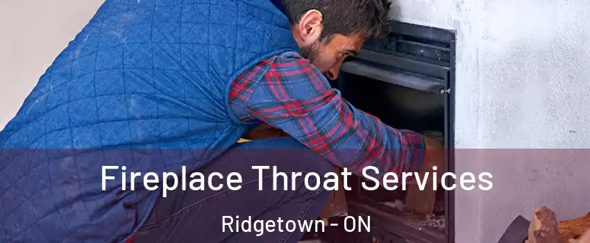  Fireplace Throat Services Ridgetown - ON