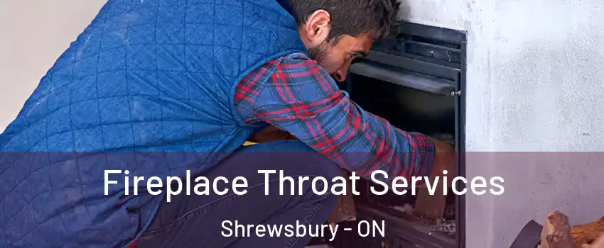  Fireplace Throat Services Shrewsbury - ON