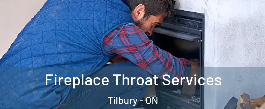  Fireplace Throat Services Tilbury - ON