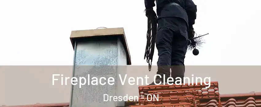  Fireplace Vent Cleaning Dresden - ON