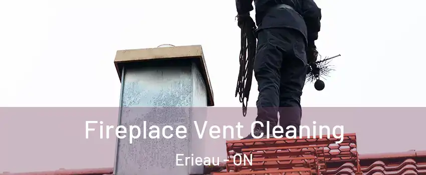  Fireplace Vent Cleaning Erieau - ON