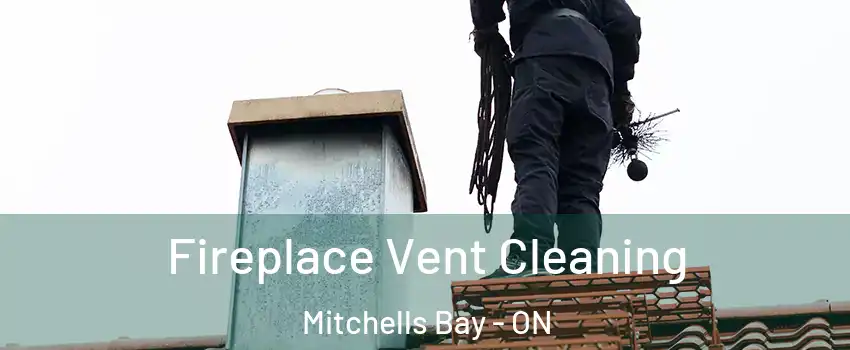  Fireplace Vent Cleaning Mitchells Bay - ON