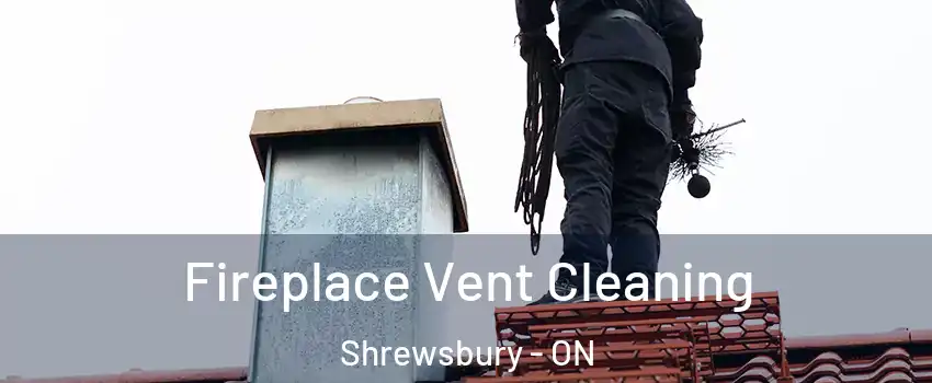  Fireplace Vent Cleaning Shrewsbury - ON