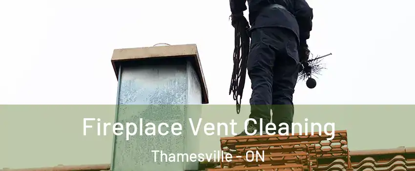  Fireplace Vent Cleaning Thamesville - ON