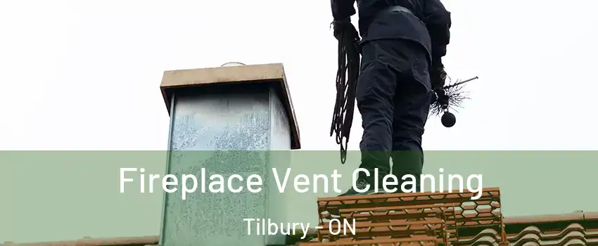  Fireplace Vent Cleaning Tilbury - ON