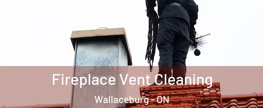  Fireplace Vent Cleaning Wallaceburg - ON